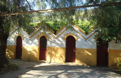 Casa d' Alem - Photo 15