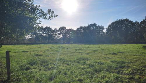 Ferienwohnung Am Moor, 35629 - Foto 5