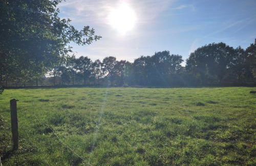 Ferienwohnung Am Moor, 35629 - Foto 5