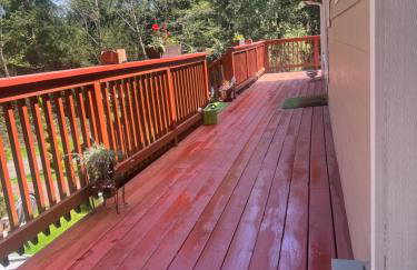 Serene Cottage in the Woods - Photo 7