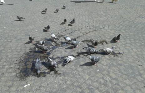 San Gaetano 23 - Photo 59