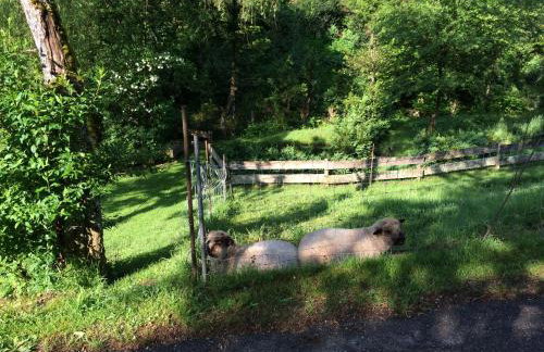 Waldbauernhof - Photo 21