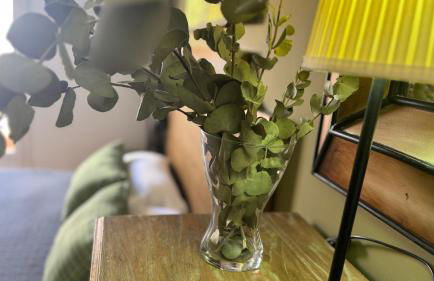 Apartamentos Alcazar de Baeza - Foto 34