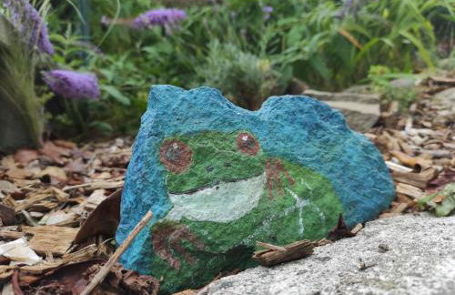 YS EO, La maison sur le port de Tréboul - Foto 27