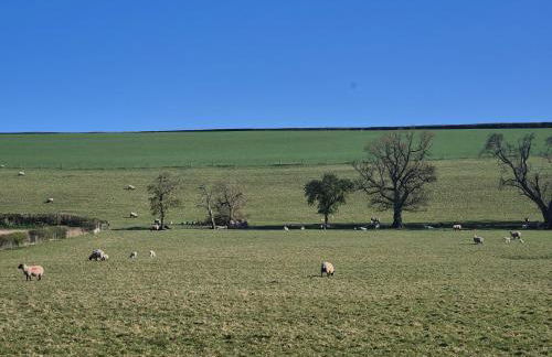 Viewpoint Lodge - Foto 20