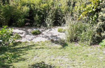 Coup de cœur en Alsace ! Idéal visites, randonnées au Gîte de la Muse, proche Colmar - Foto 3