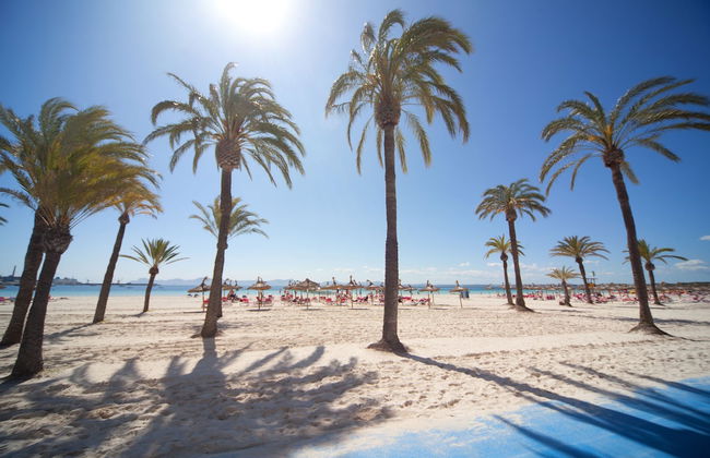 Caprice Tamarindos Apartments - Foto 36