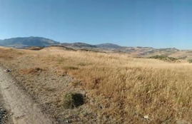 I Templari - Photo 49