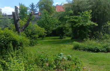 Landhaus Buckow - Foto 20