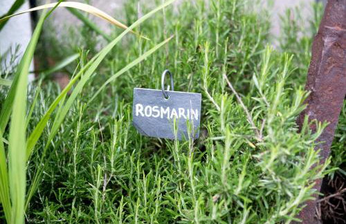 Bauernhof Sackgut - Foto 69