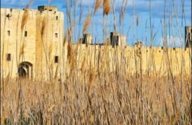 Studio mi casa es su casa - Photo 29