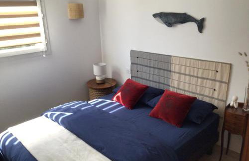 île Bacchus - Foto 18