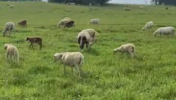 Lakeside Serenity Your Perfect Getaway Gallatin - Foto 2