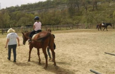 Bella Home Studio Apartment - Photo 20