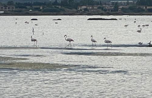 Casa vacanze Ichnos - Foto 59