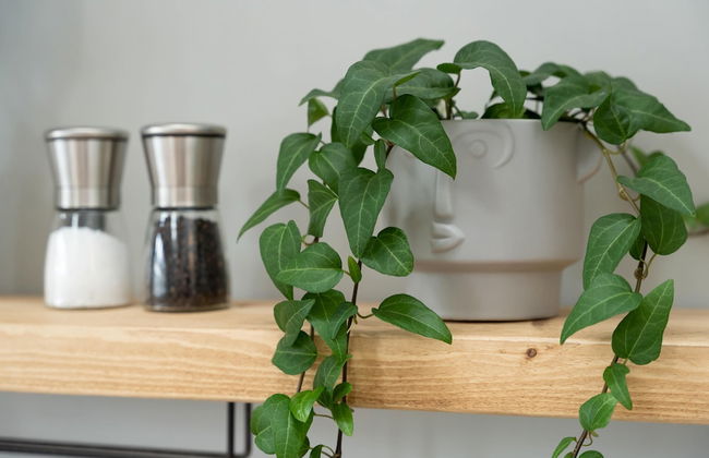 High Street Town House - Photo 75