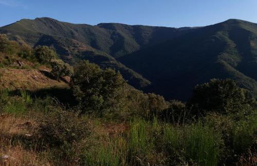 Ollar do Cido - Foto 47