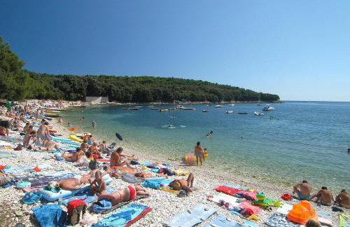 Apartments Kiki 150 METERS TO THE BEACH - Foto 39