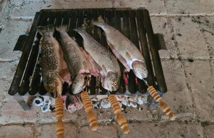 Forestside House Gacka with relax area - Foto 20