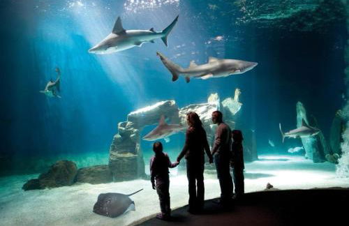 GENOVA APARTMENT 15, con posto auto - Foto 39