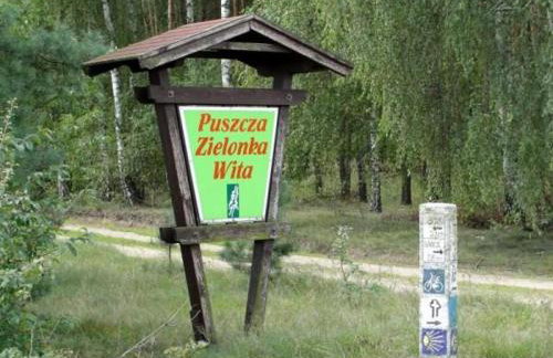 EKO - Domek jezioro Steszewko - Foto 35