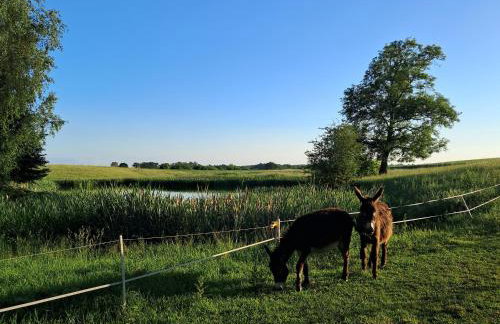 Agroturystyka Nasza Bajka - Foto 11