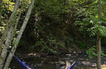 Nad Mikowym Potokiem - wydzielona część drewnianego domu z osobnym wejściem i ogrodem - Foto 3
