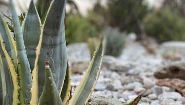 Agreli House - Foto 3