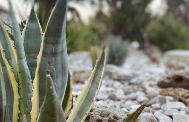 Agreli House - Foto 3