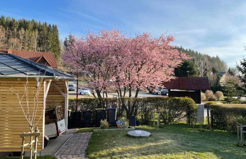 Wanderlust - Thüringer Wald, Rennsteig, Finsterbergen - Photo 10