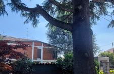 Comfortable apartment - Monza park with garage - Foto 1