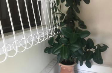 Memories2 elegant house five min from Corfu town - Foto 35