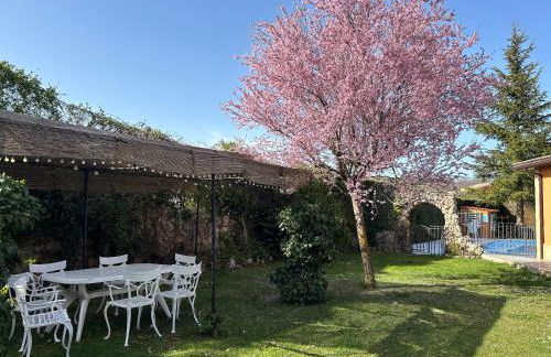 Paleolítico rural - Photo 6