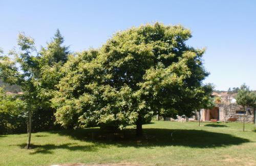 Casa da Reina - Foto 29
