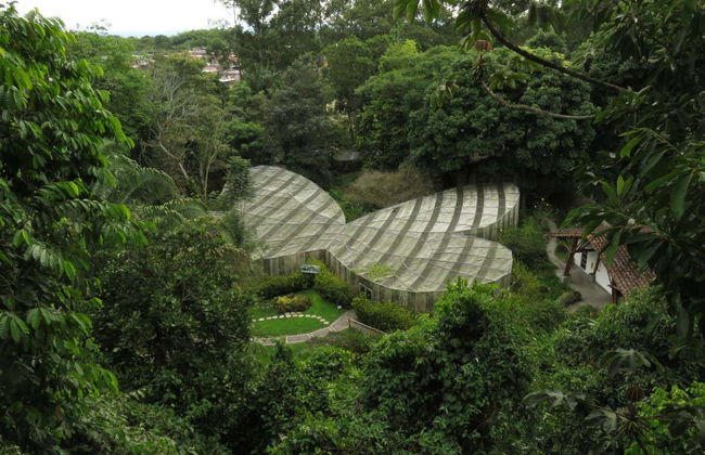 Quindío Botanical Garden Tour - Photo 6