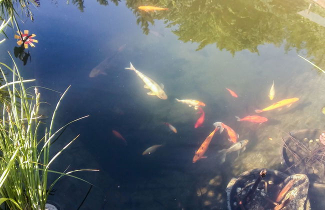 Magdalensberg - Photo 31