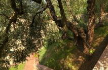 Casa Verdoliva - The Studio - Foto 30