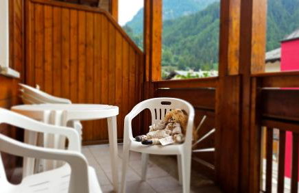 Baita dei Pini - Photo 16