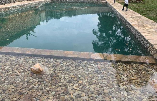 Nyungu Yamawe Forest Park - Foto 12