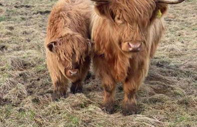 Isla Way Stays - Foto 1