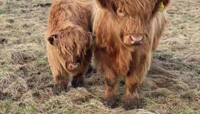 Isla Way Stays - Foto 1