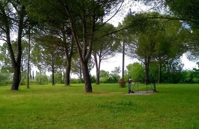 Agriturismo Podere Caggiolo - Photo 53