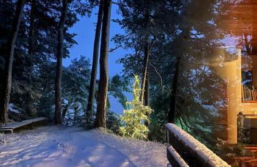 Chalet con vista - Olimpiadi 2026 - Foto 18