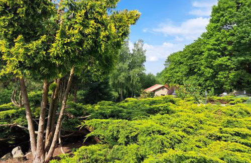 Brzozowy Zakątek - Foto 79