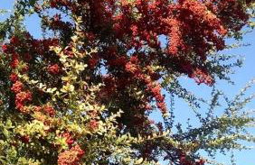 Lovely Cottage Rental with Waterfall on San Gabriel River near Austin, Texas - Foto 50