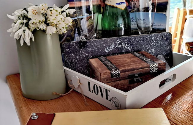 Vineyard cottage Soncni gric - Foto 3