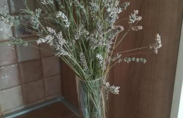 Apartman Nada - Foto 29