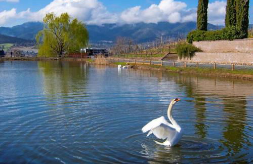 Paschal Winery - Water's Edge - Foto 3