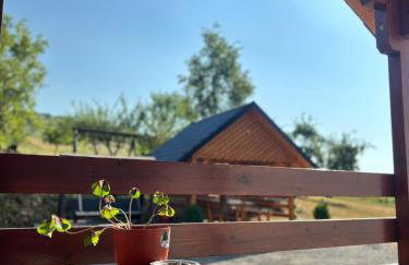 Apartment Jelena - Foto 26