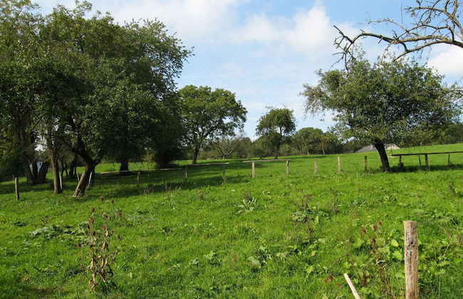 Family Villa in Ferrieres - Photo 23